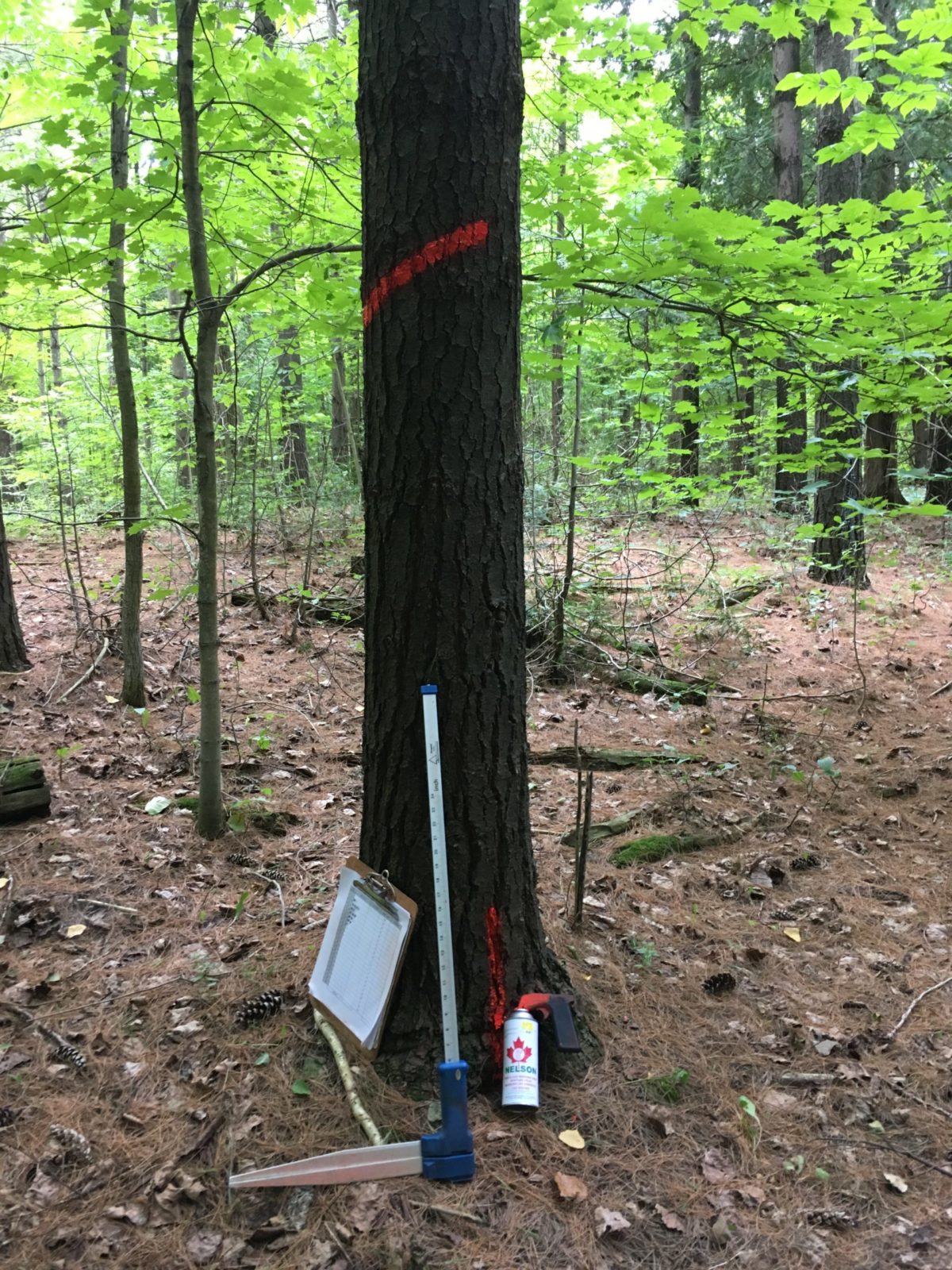 tree marking equipment