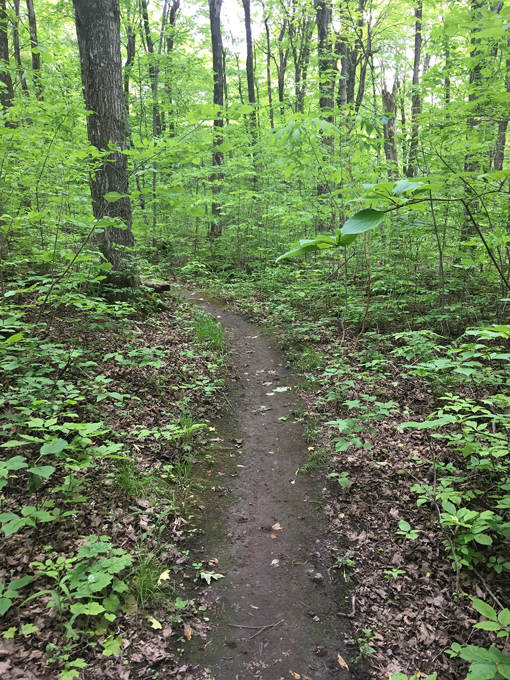 trail creation private property