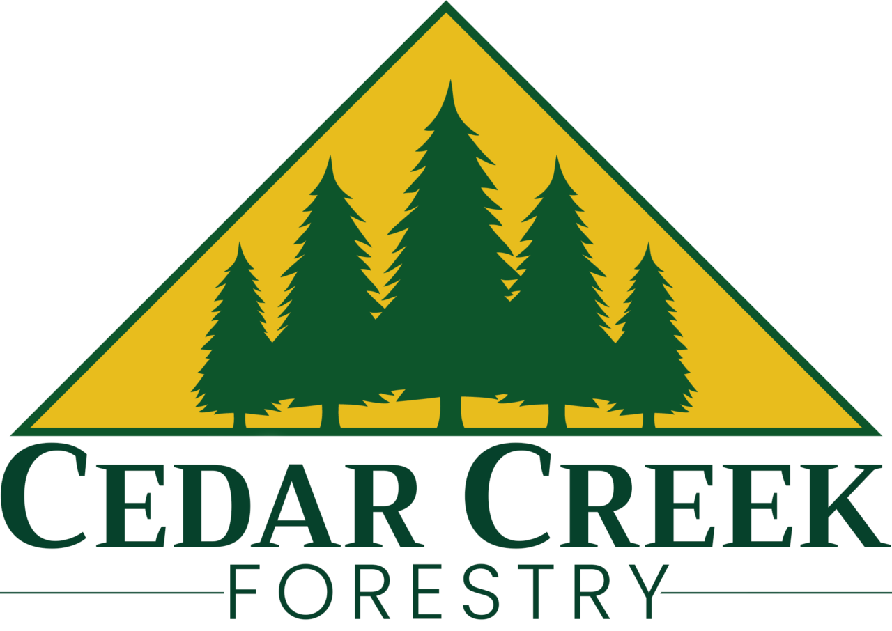 Tree Marking | Cedar Creek Forestry